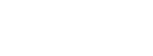 Terra Connection Logo